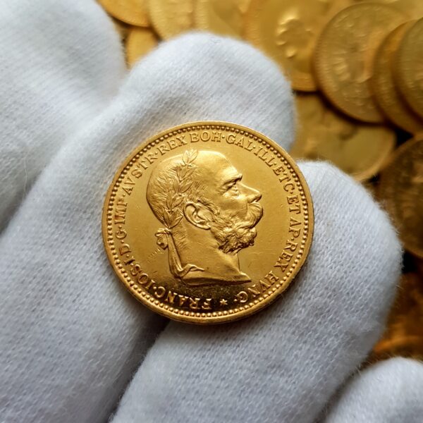 20 Koruna 1893 BZ